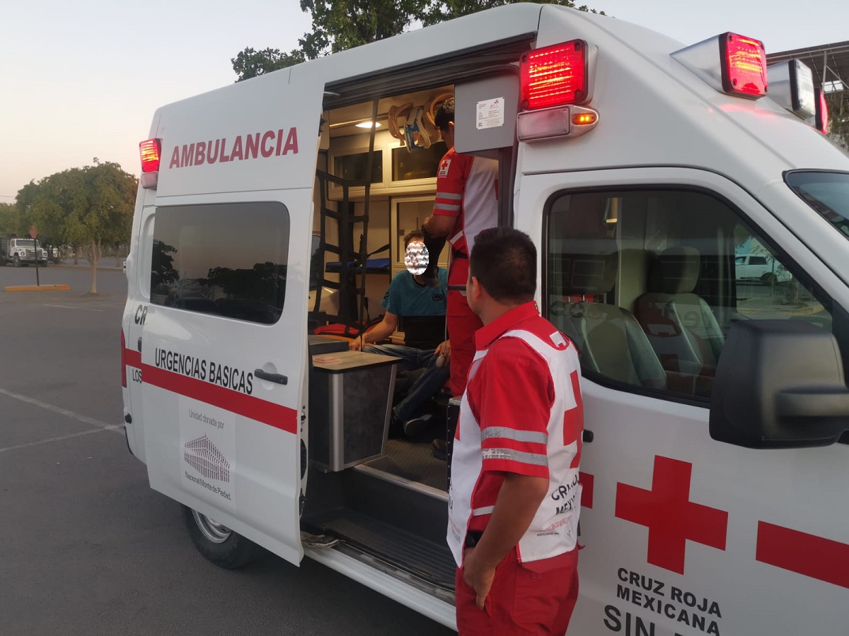 Tres lesionados deja ataque de abejas en supermercado de Los Mochis