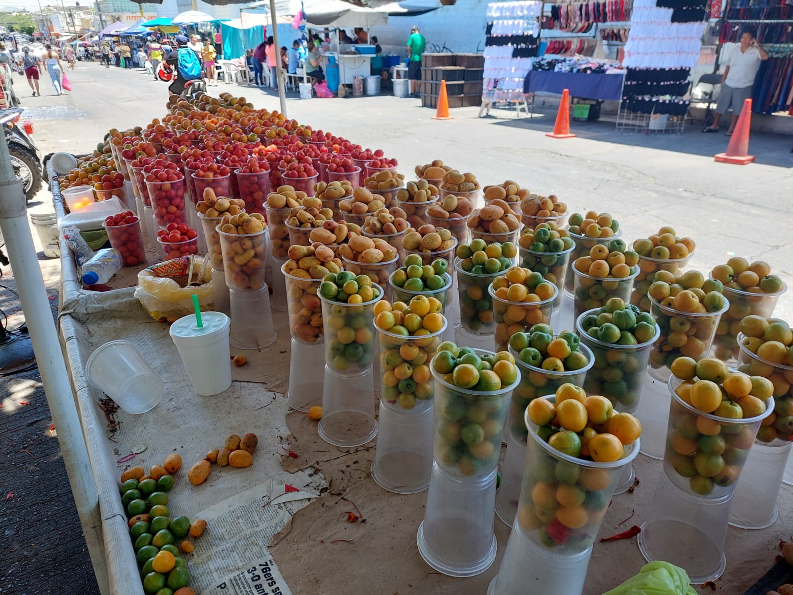 Comienza la temporada; ciruela y manguito se venden ya en las calles de Mazatlán