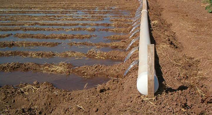 Se cubrirá 100% del plan de riego de la superficie de siembra en El Carrizo: Distrito 076 Conagua 