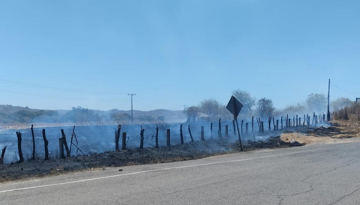 Se prende sierra de Concordia una vez más, incendios forestales afectan a cinco comunidades