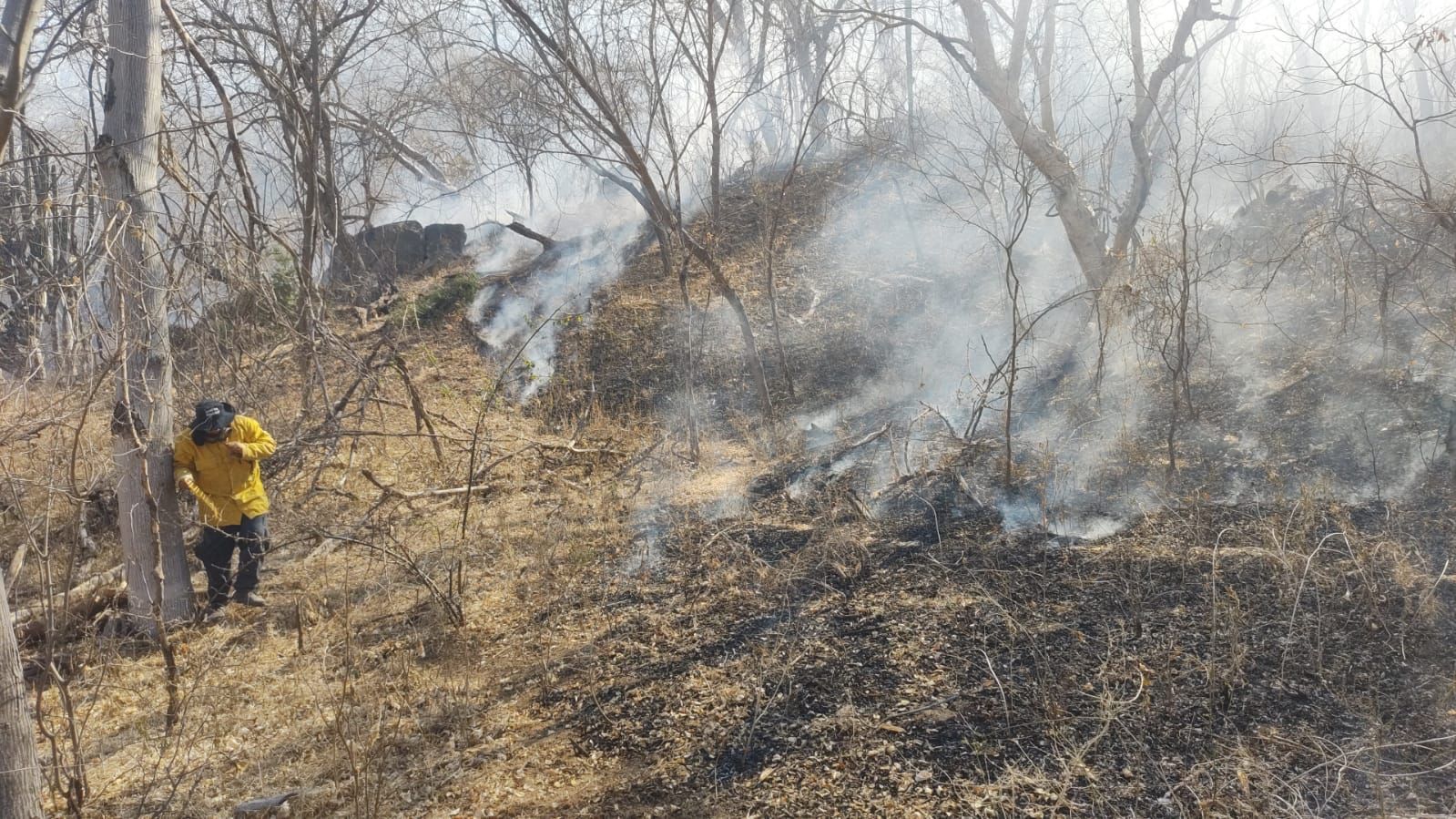 Incendio forestal en Mocorito consume más de 70 hectáreas de monte; tardaron más de ocho días en sofocar las llamas