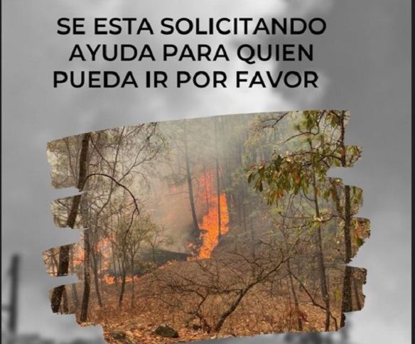 Incendio no ha sido sofocado pero ya está controlado: José Paz López; la afectación es en un cerro cerca de Surutato