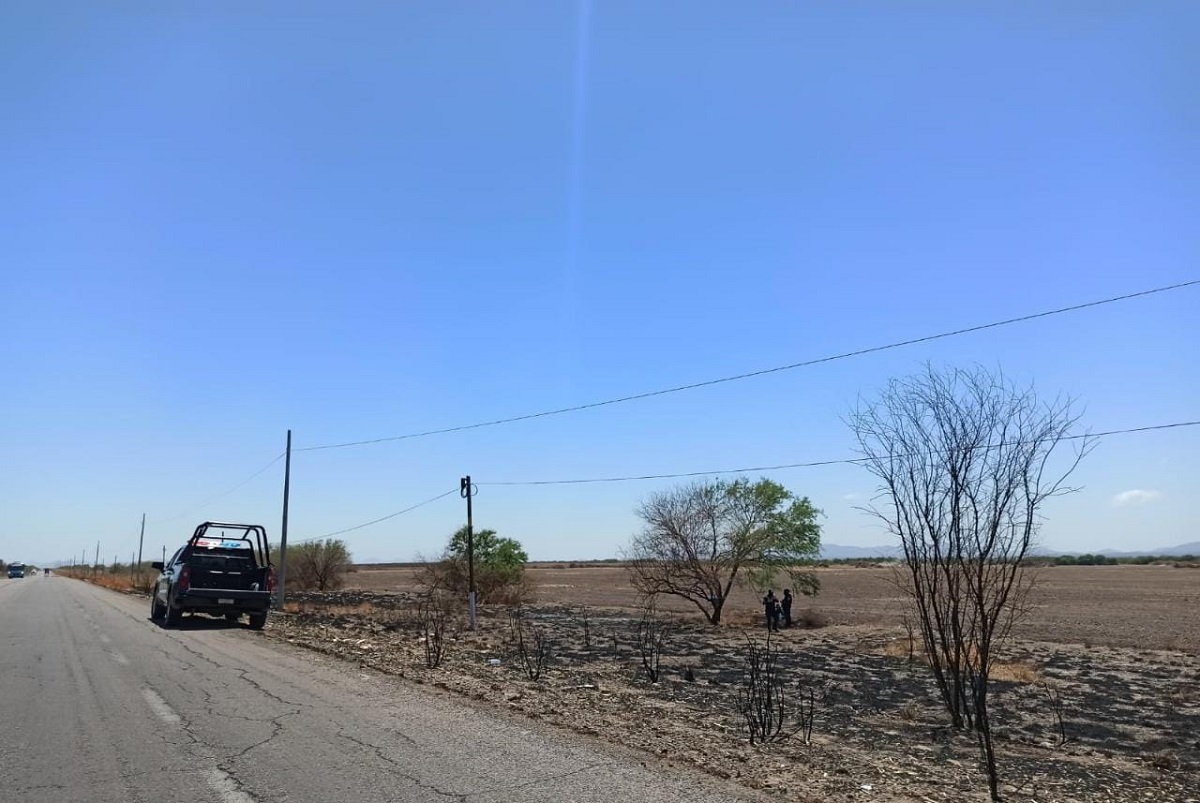 Localizan cráneo humano en campo agrícola de El Fuerte