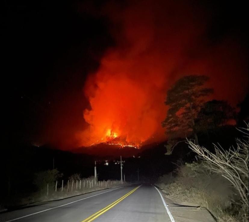 Van más de 60 hectáreas de pinos y encinos consumidos por incendio forestal en Surutato, Badiraguato