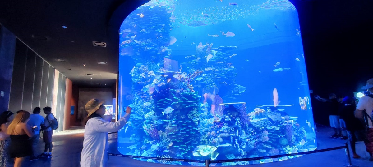 ‘Bienvenida esa nueva etapa del Acuario Mar de Cortés’: Édgar González