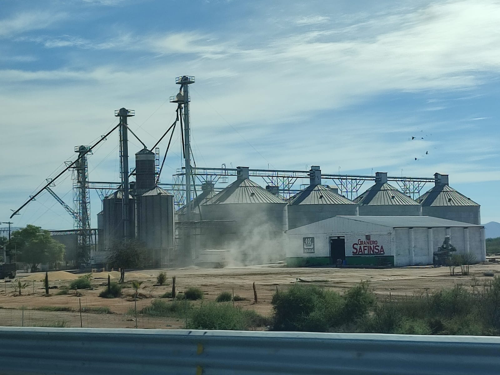Surge preocupación entre maiceros; hay fallas en ventanilla de inscripción para la venta del grano ante Segalmex