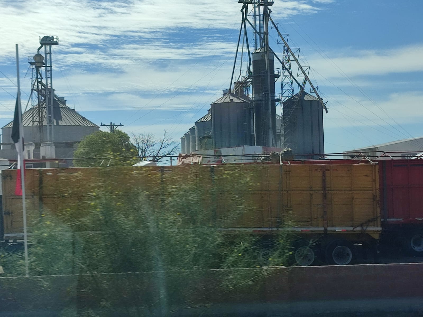 Se saturan bodegas para el maíz; productores de Sinaloa batallan para almacenarlo y que les paguen