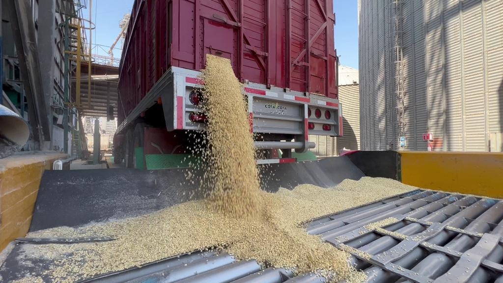 ‘Sin respuesta de Gruma, pero no quito el dedo del renglón’, les dice Rocha Moya a productores de maíz