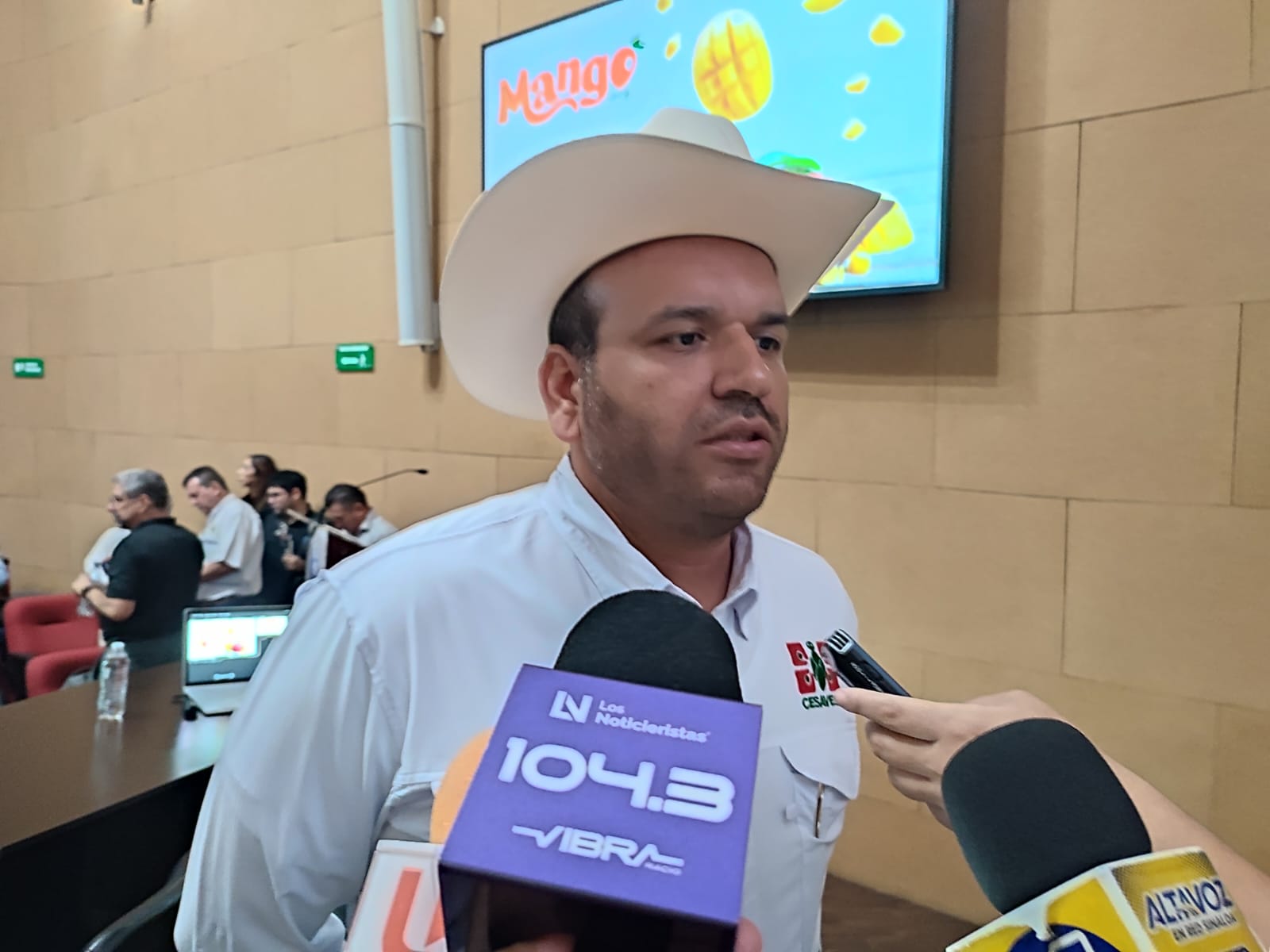 Hay buenos rendimientos en volúmenes de maíz, estiman alcanzar las 5 millones 800 toneladas: Cesavesin