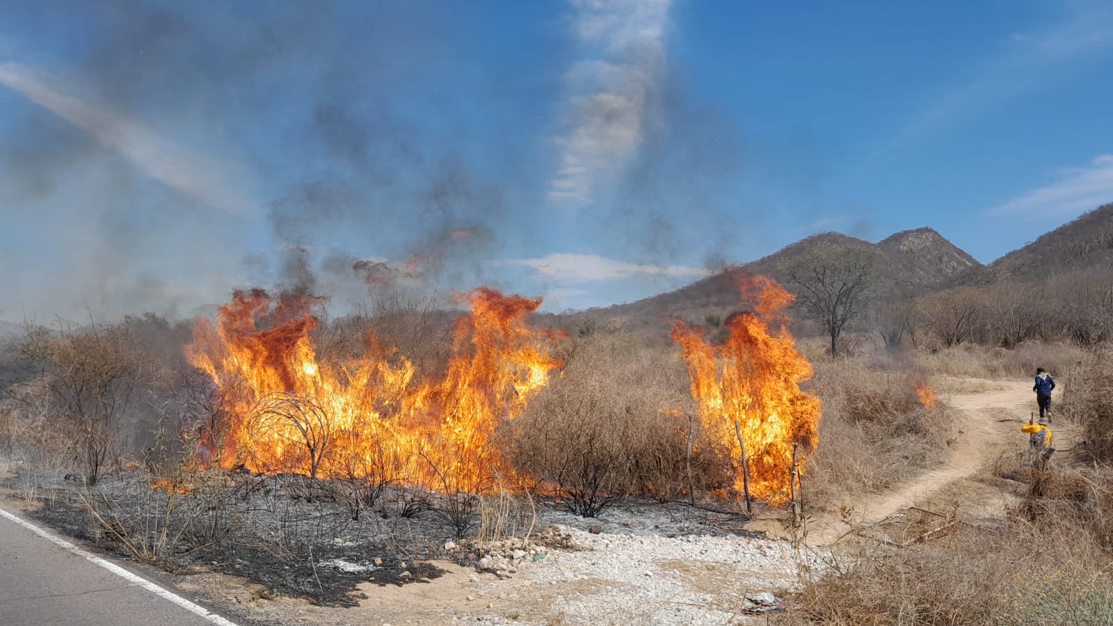 Atiende PC en Choix mas de 25 incendios forestales; todos han sido controlados
