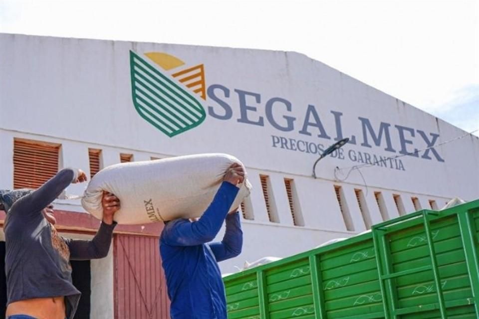 Segalmex no está capacitada para atender a Sinaloa; es lento el proceso de registro con los productores: Caades