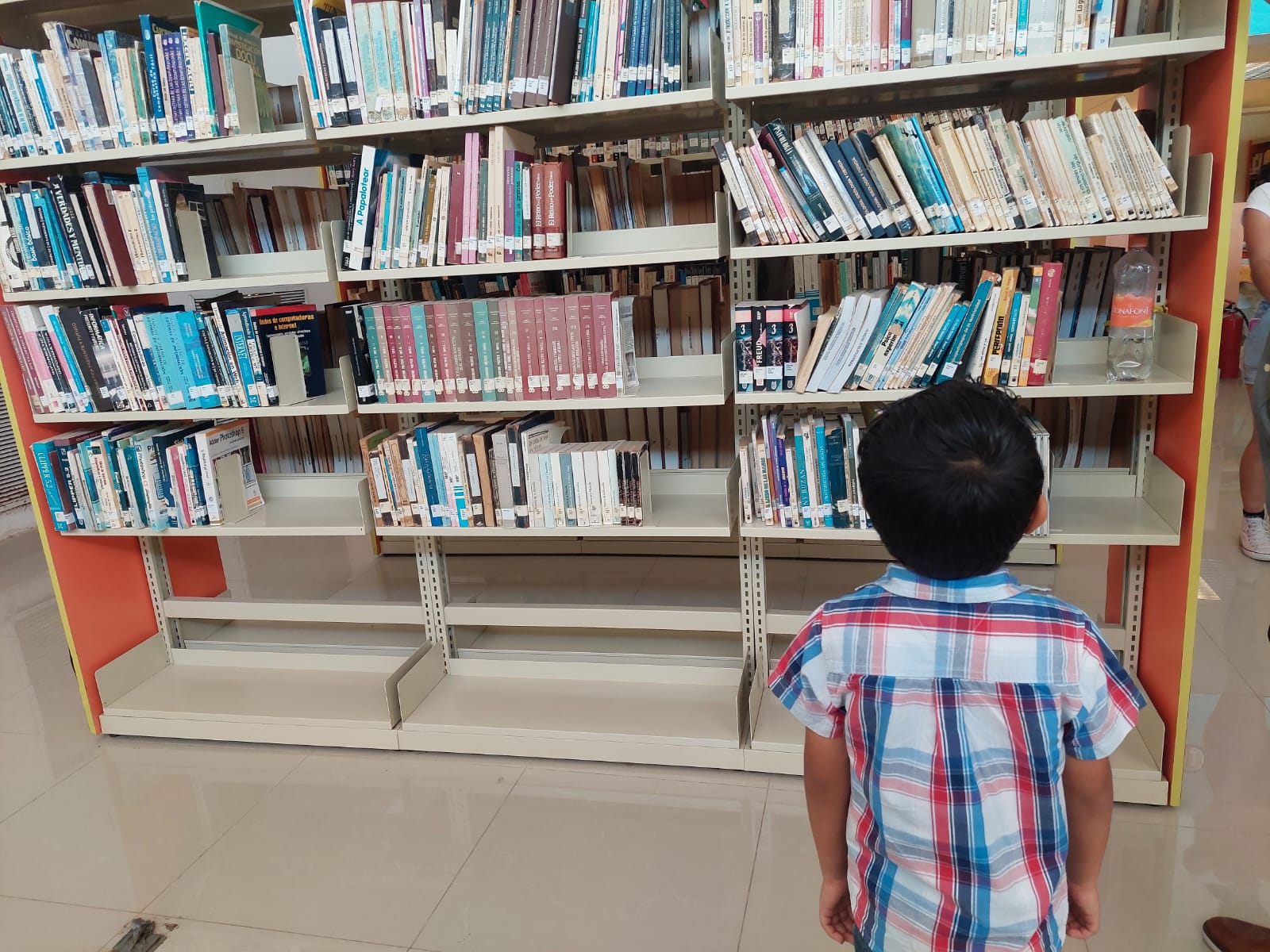 Invita la red de bibliotecas públicas de Ahome al campamento de verano 2023