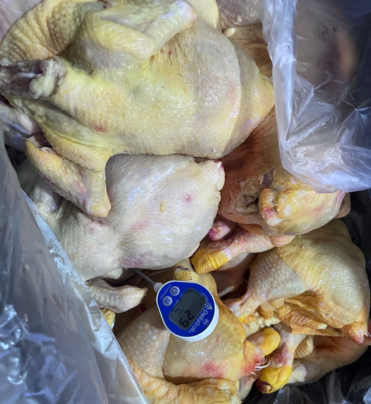 Le cae Coepriss ahora a una pollería en Los Mochis; la suspende por incumplir en el cuidado de alimentos
