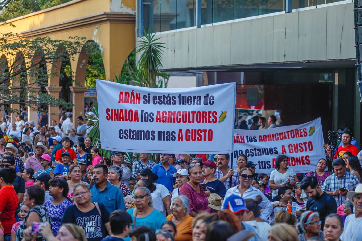 Acusa Rocha Moya a productores de andar politizando el tema de la compra del maíz