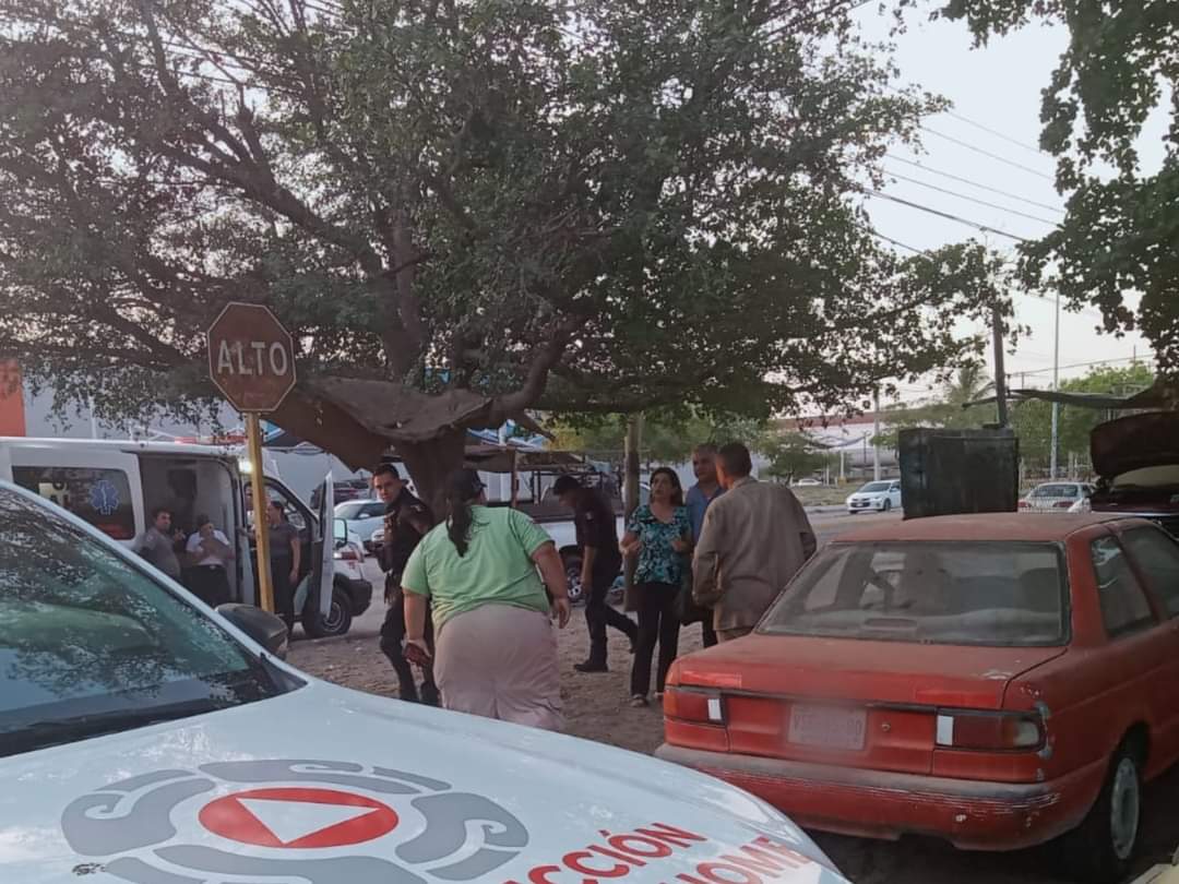 Manada de perros ataca a una mujer en Los Mochis