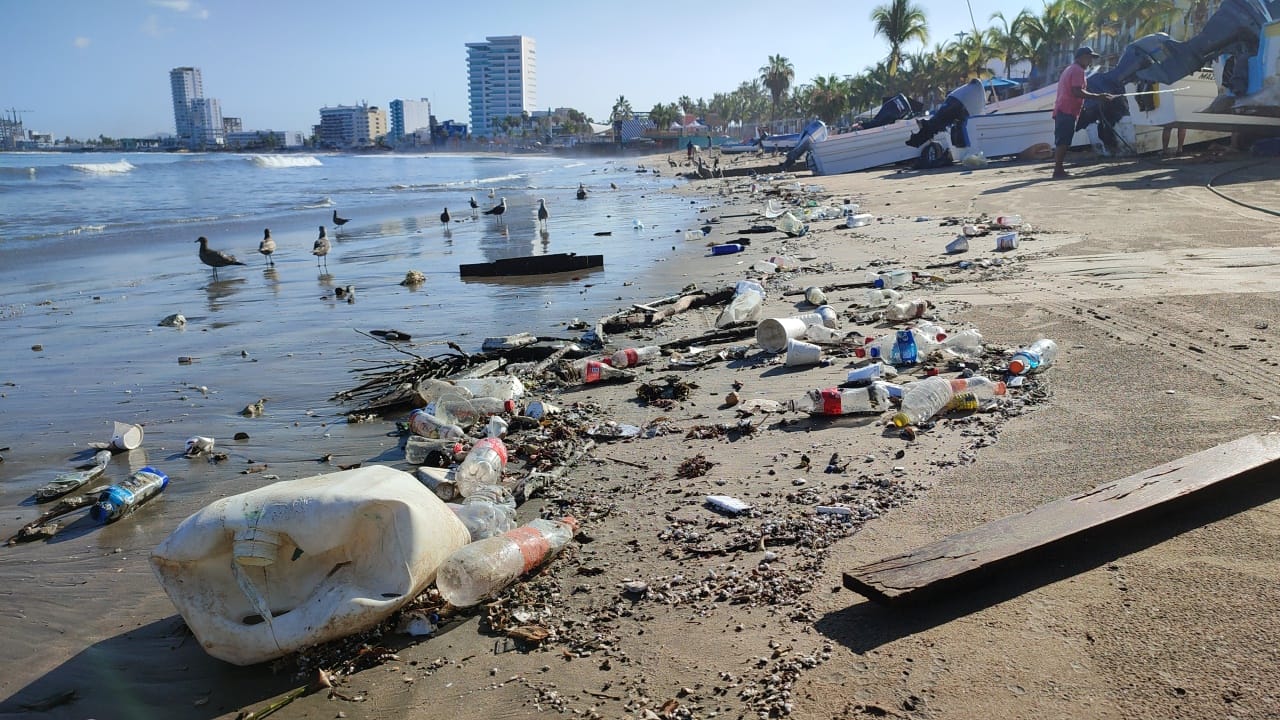 Pide Ecología concientizar sobre el uso de plásticos ante aumento de contaminación en Mazatlán
