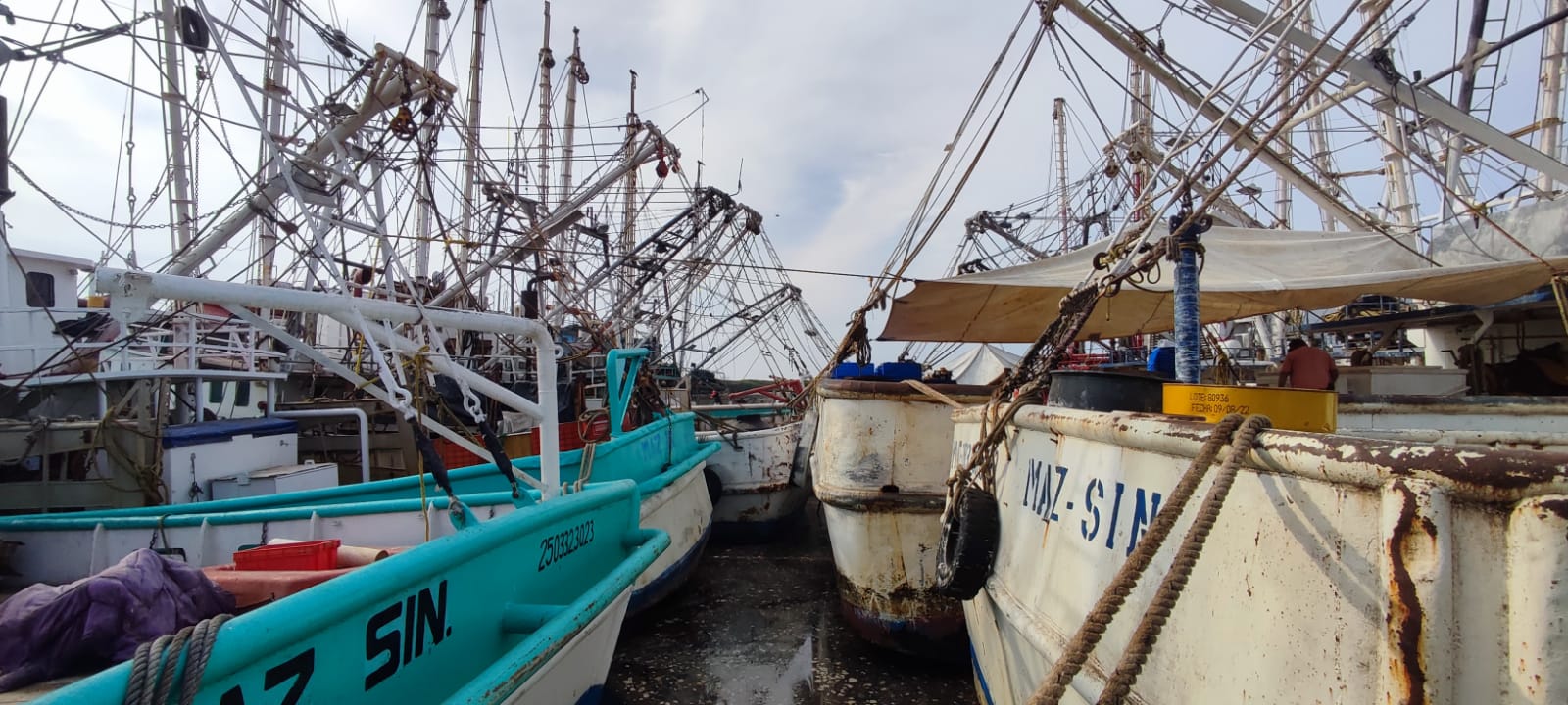 Pide Leobardo Alcántara que CONAPESCA entregue resultados en combate a pesca ilegal