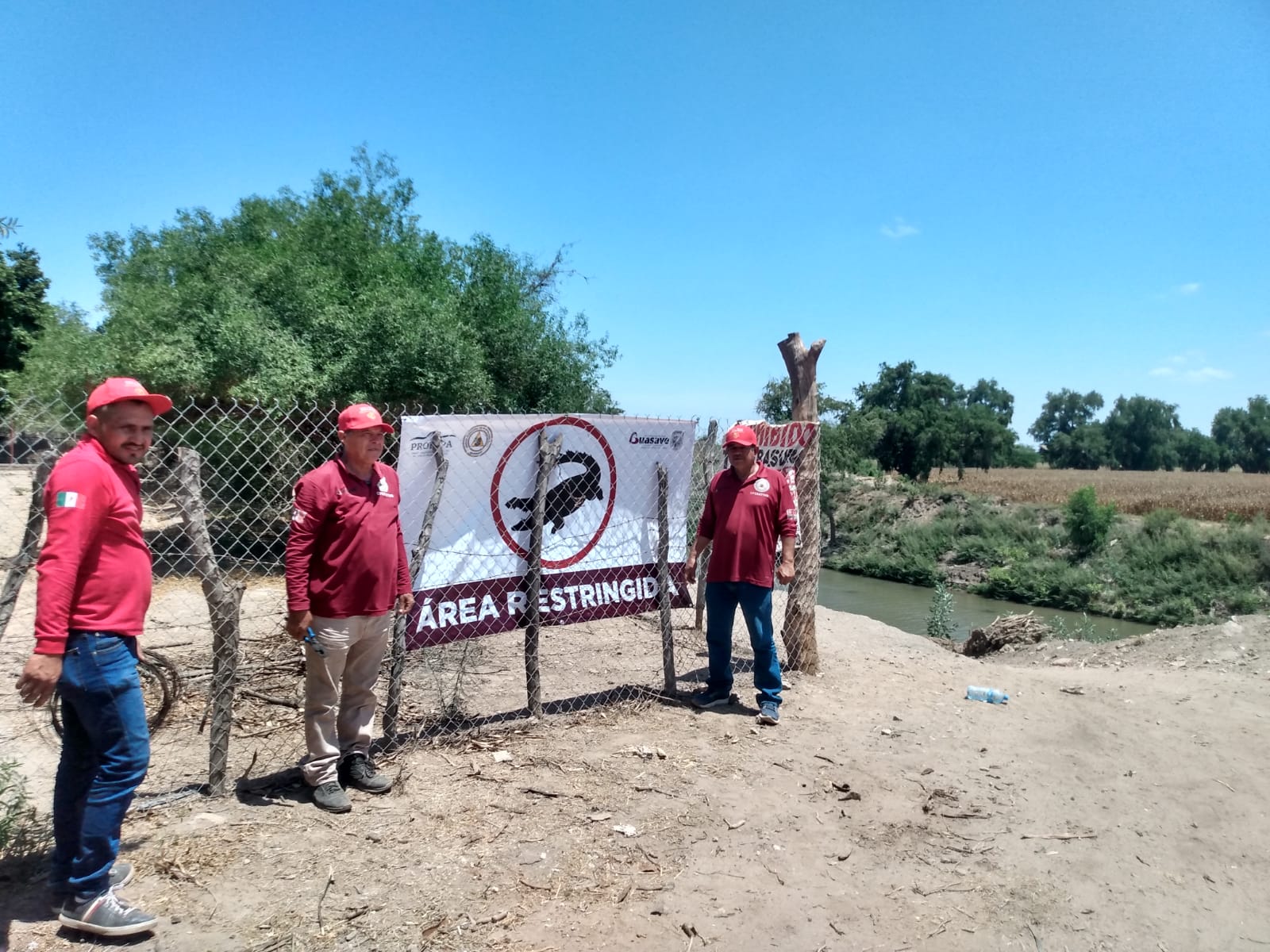 ¡Por favor no se introduzcan al río! El llamado de Protección Civil en Guasave tras video de cocodrilo
