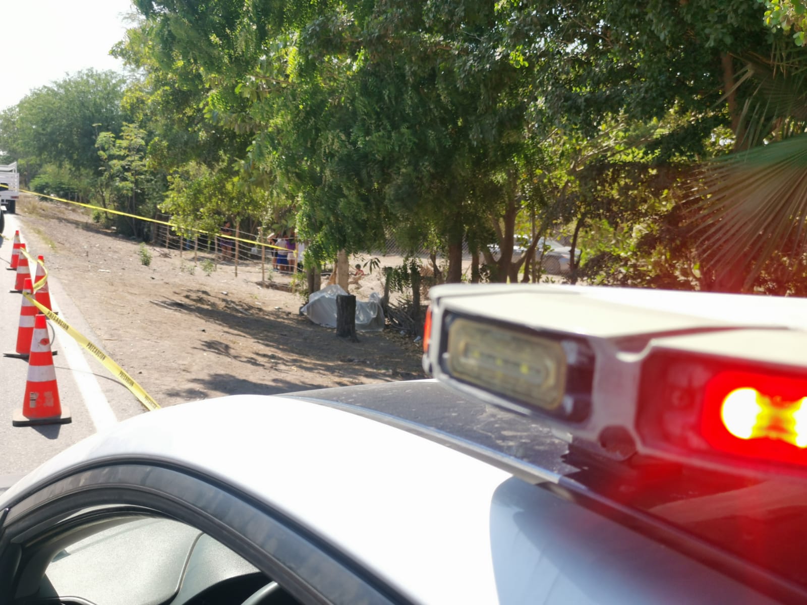 Saúl viajaba en una motocicleta y perdió la vida luego de chocar contra un árbol a orillas de la Mochis-Ahome