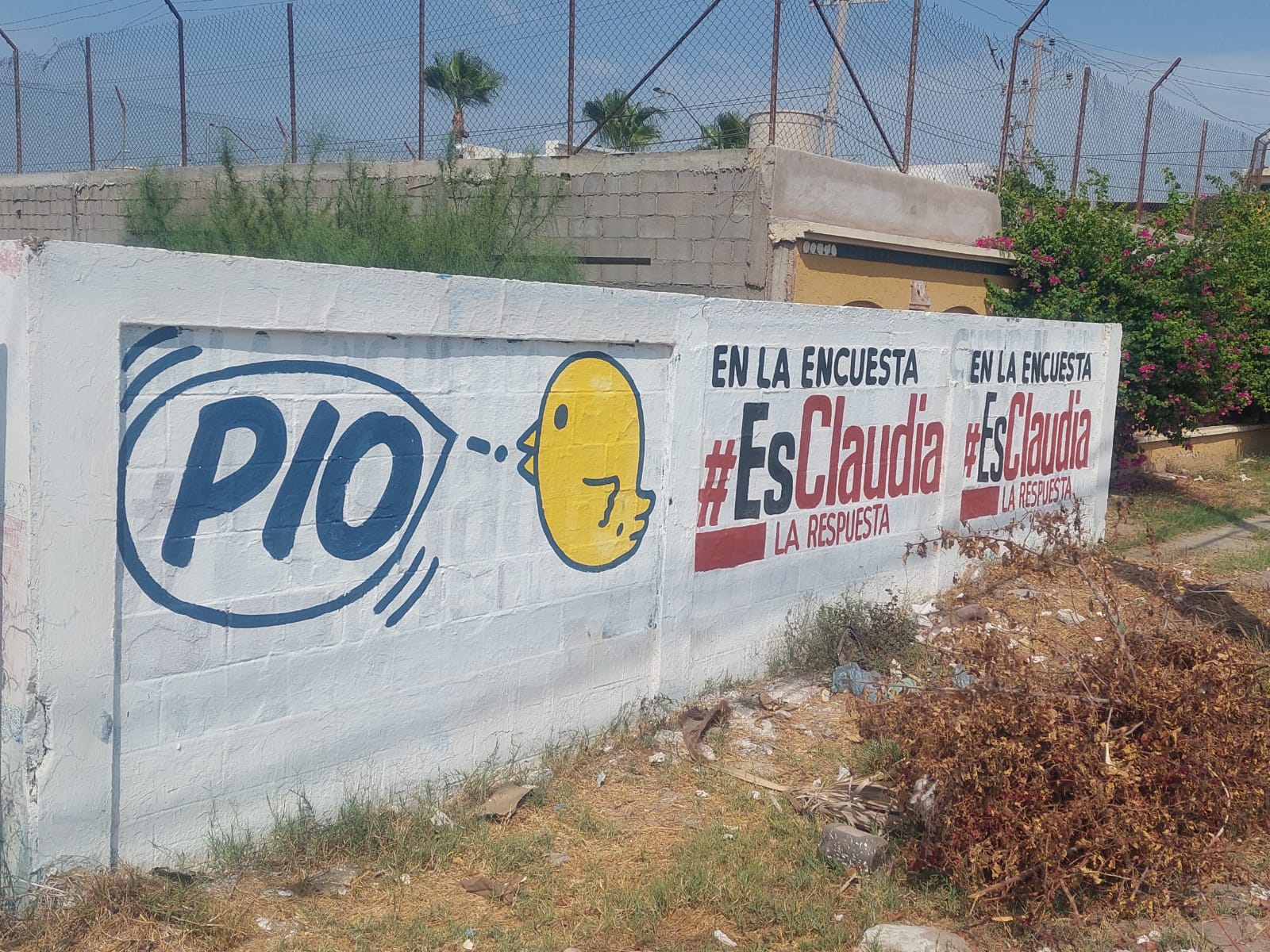 Se deslinda ‘Pío’ Esquer de propaganda del pollito amarillo; ‘crítica al Gobierno Federal es por la política agropecuaria’