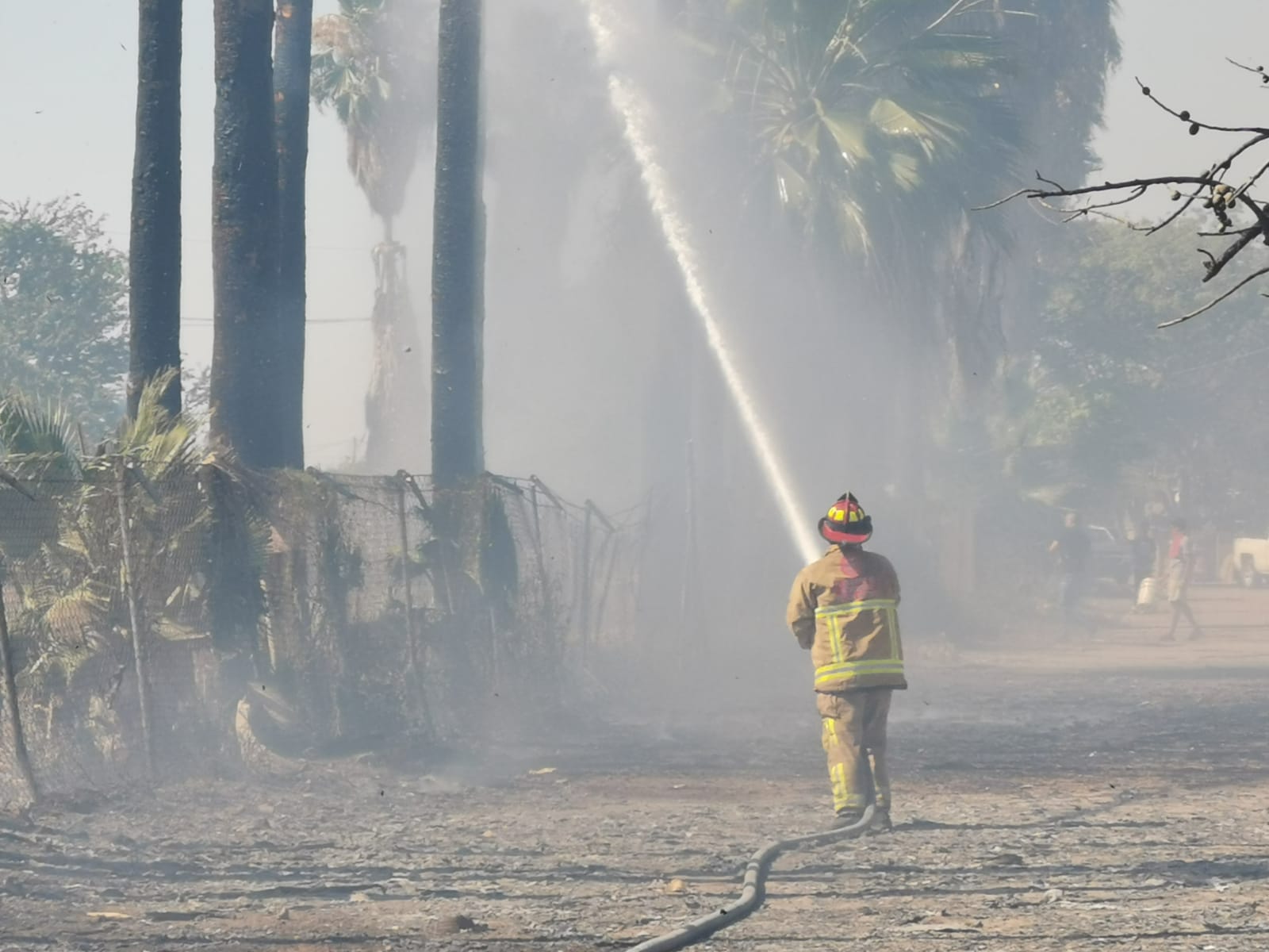 Se queman más de 30 palmeras en Taxtes, El Fuerte; 5 viviendas se vieron afectadas por el fuego