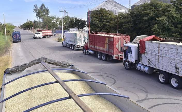 Detectan hasta cuatro unidades irregulares por semana en Guasave: Transportistas concesionados