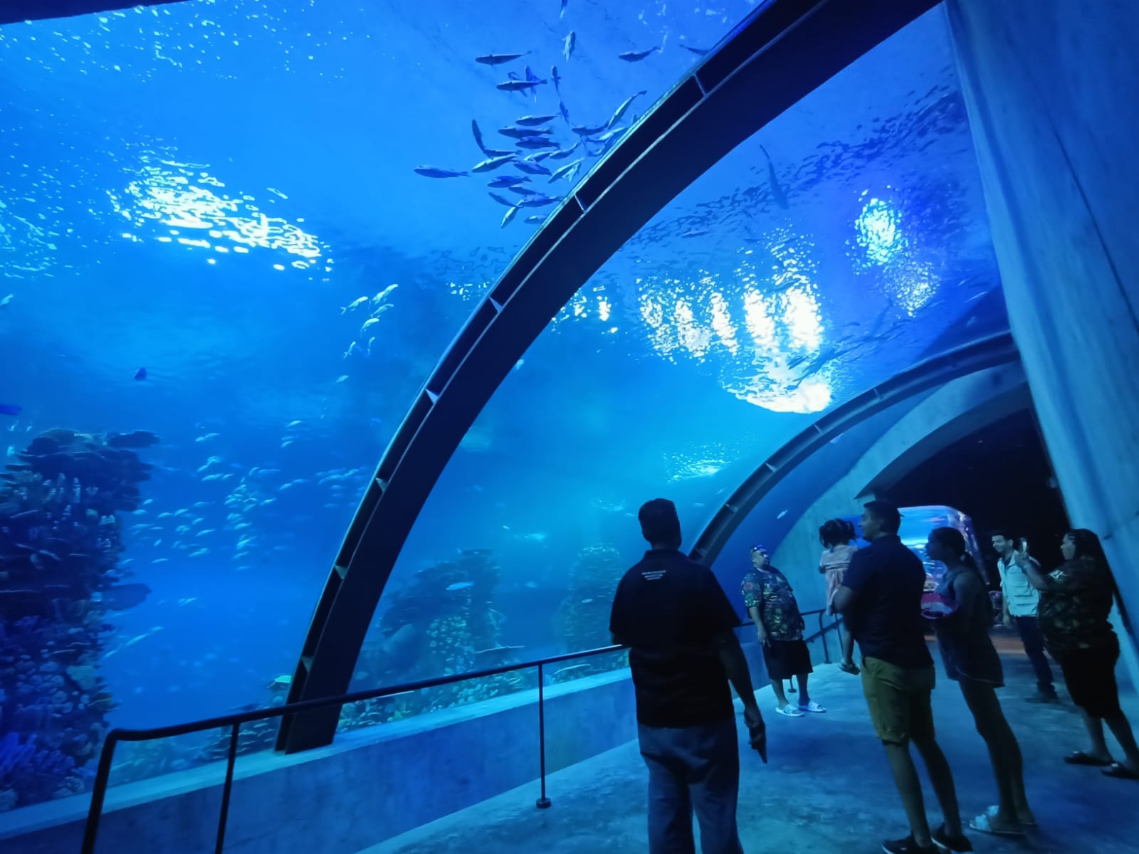 Ya viene el Centro de Investigaciones Oceánicas del Mar de Cortés del Acuario Mazatlán, buscan coordinador