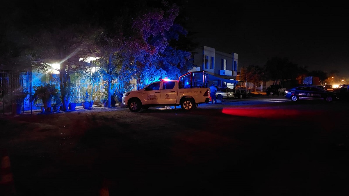 Adulto mayor pierde la vida tras ser atacado por un enjambre de abejas en Los Mochis