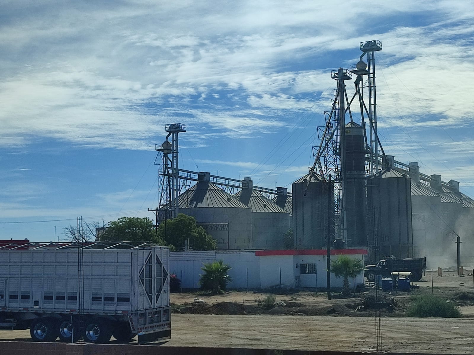 Yo quisiera que Jesús Vega se acercara a una ventanilla y mirara el proceso; las bodegas no se dan abasto: trigueros en Sinaloa
