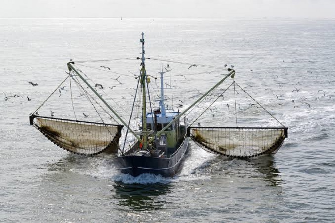 ‘Es momento de abrirse a otros mercados’: Rocha Moya a exportadores pesqueros tras amenazas de embargos por EU