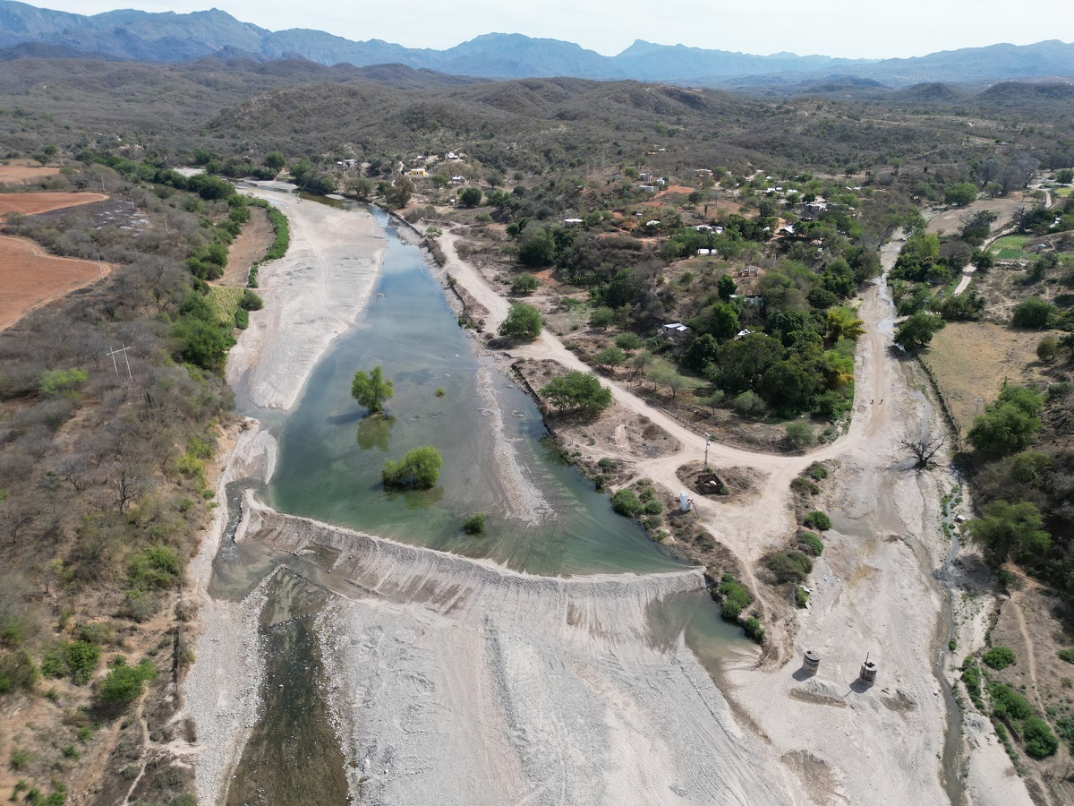 Son insuficientes lluvias registradas en Sinaloa para el sector ganadero, aunque hay ya mejor condición: URGS