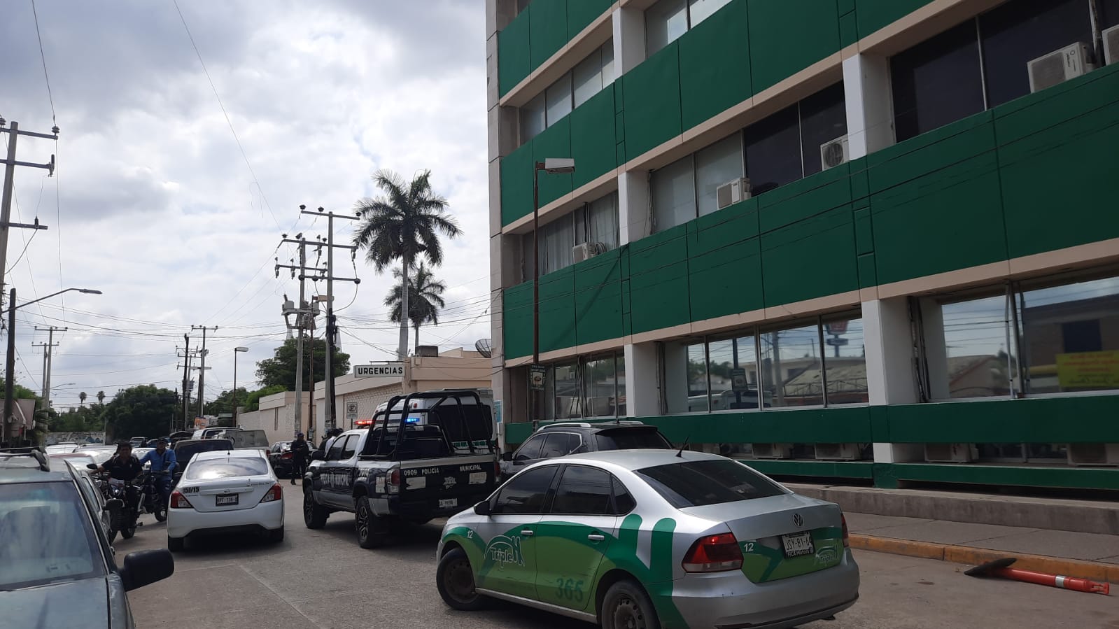 Hombre fallece tras ser atacado por abejas cuando limpiaba terreno en Costa Rica de Culiacán, Sinaloa