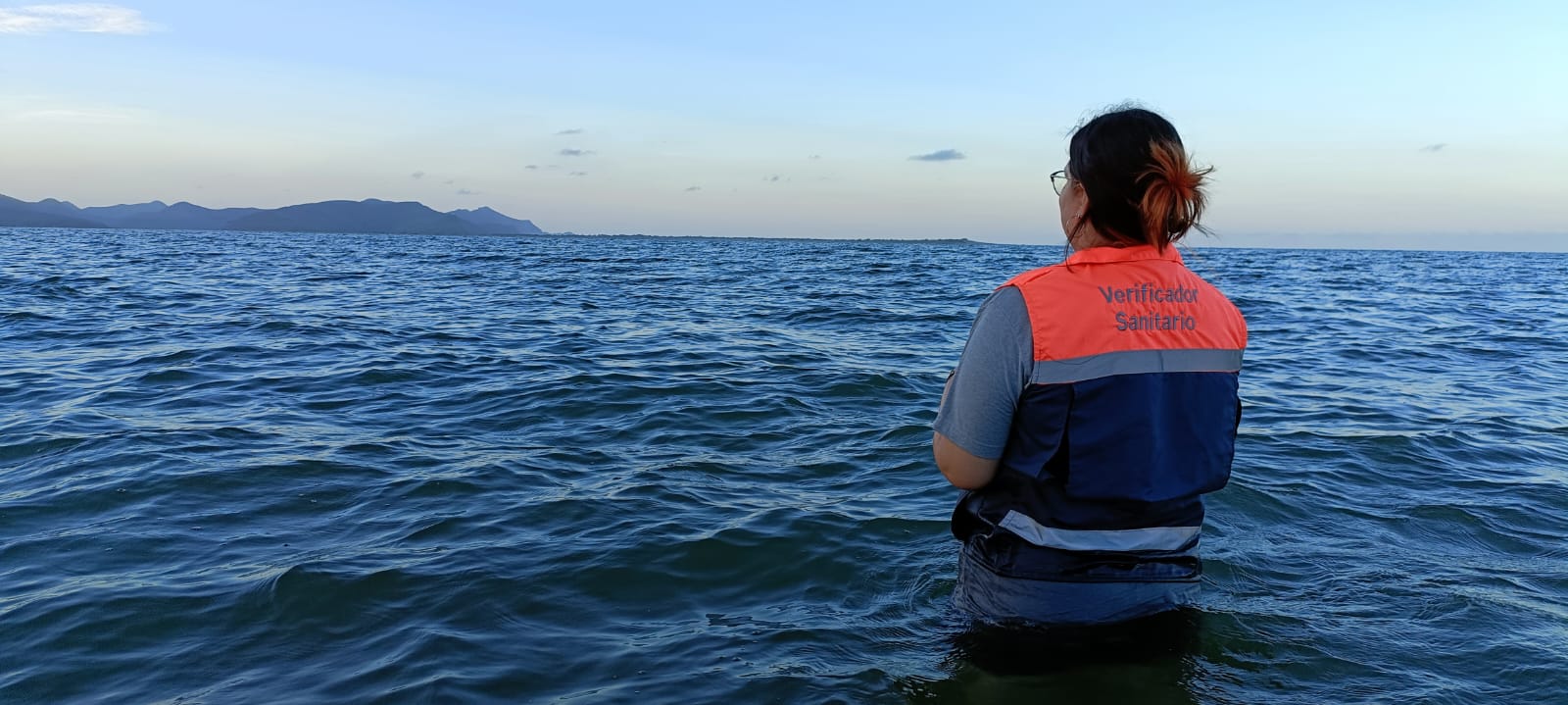 Todas las playas de Sinaloa son aptas para bañarse: COEPRISS