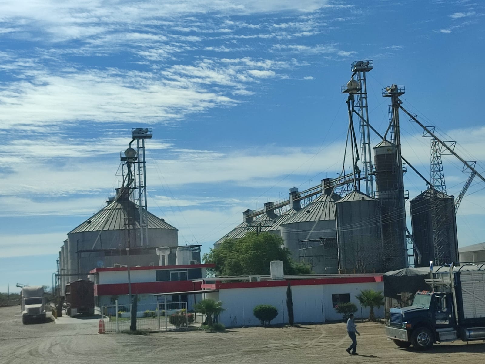 Bodegas anuncian 30 por ciento a maiceros del programa del estado; preocupa qué pasará con el resto