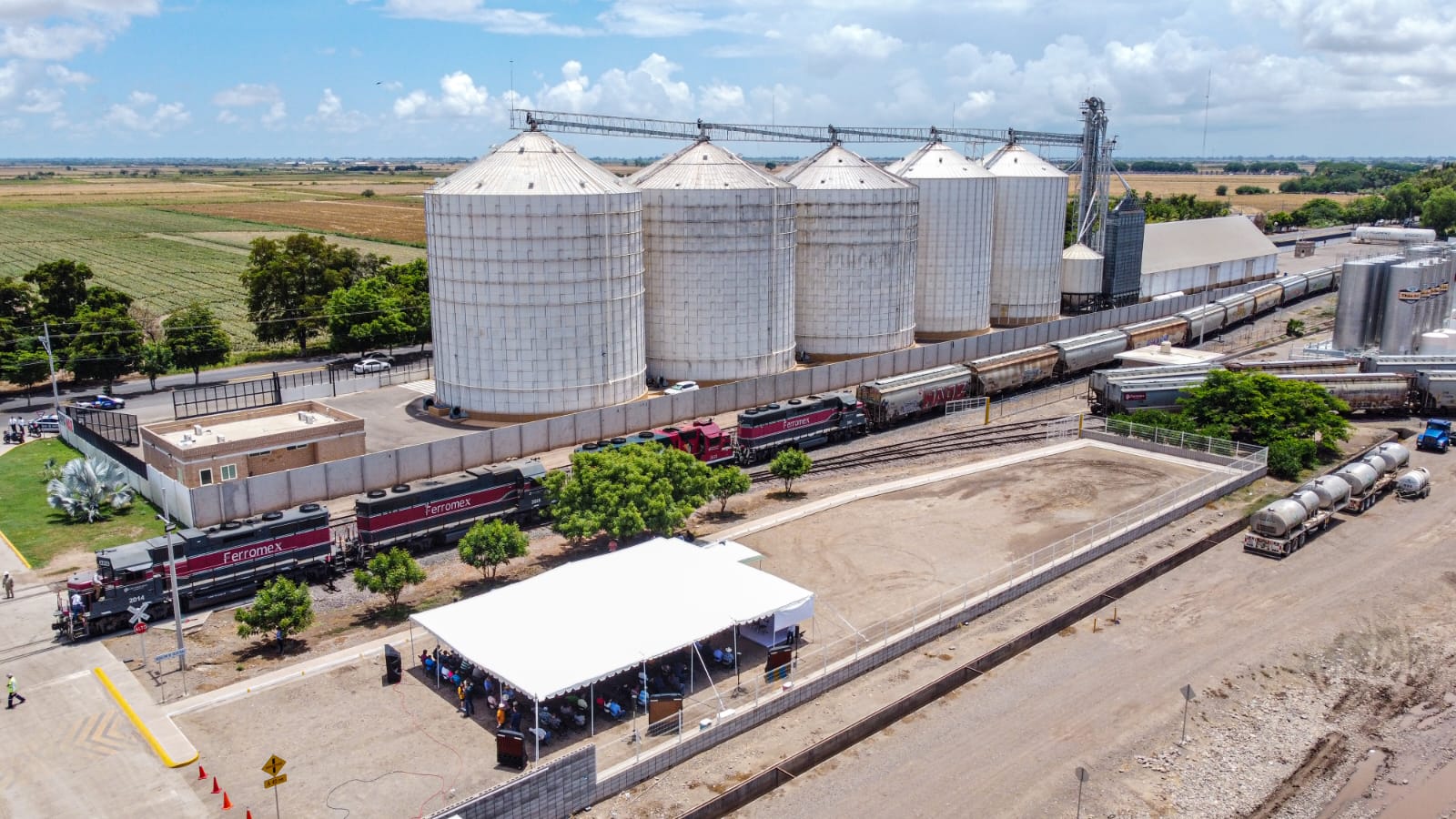 Bodegueros se resisten a pagar con el precio actual del dólar a productores de maíz; actúan de manera ventajosa