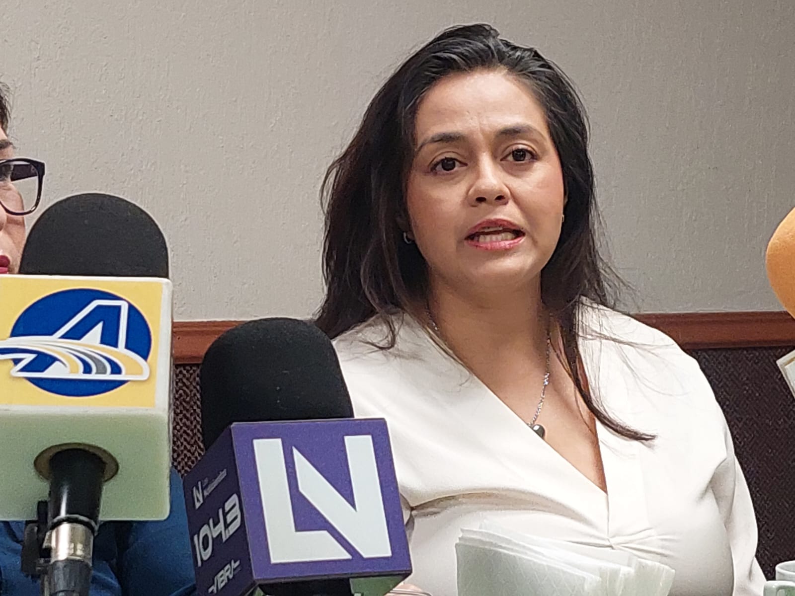 Informe legislativo de Ceci Covarrubias se convierte en centro de halagos entre el alcalde GVL y la diputada