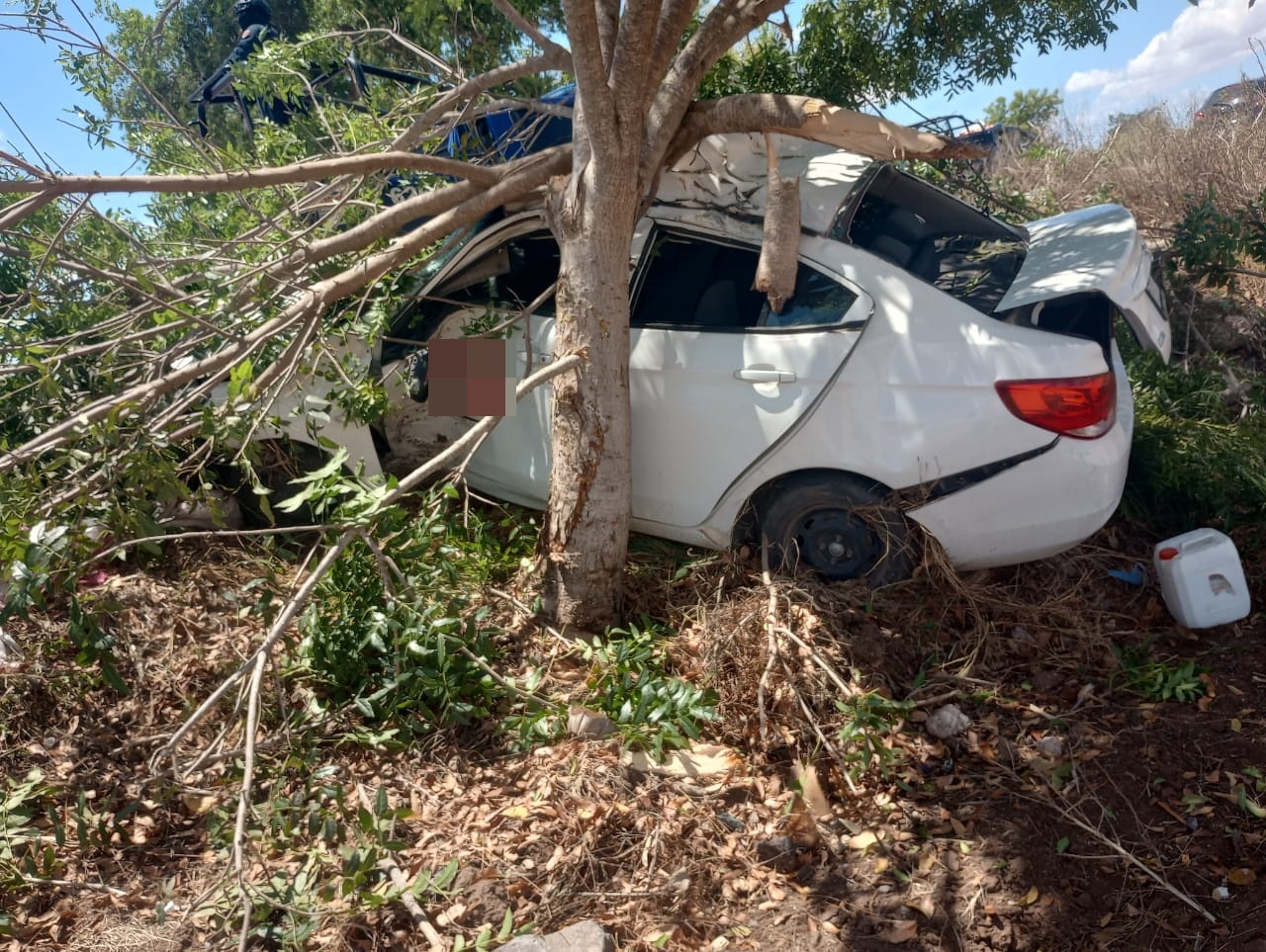 ¡Vive para contarlo! Conductor de automóvil se impacta contra un árbol en la carretera a Compuertas, Ahome