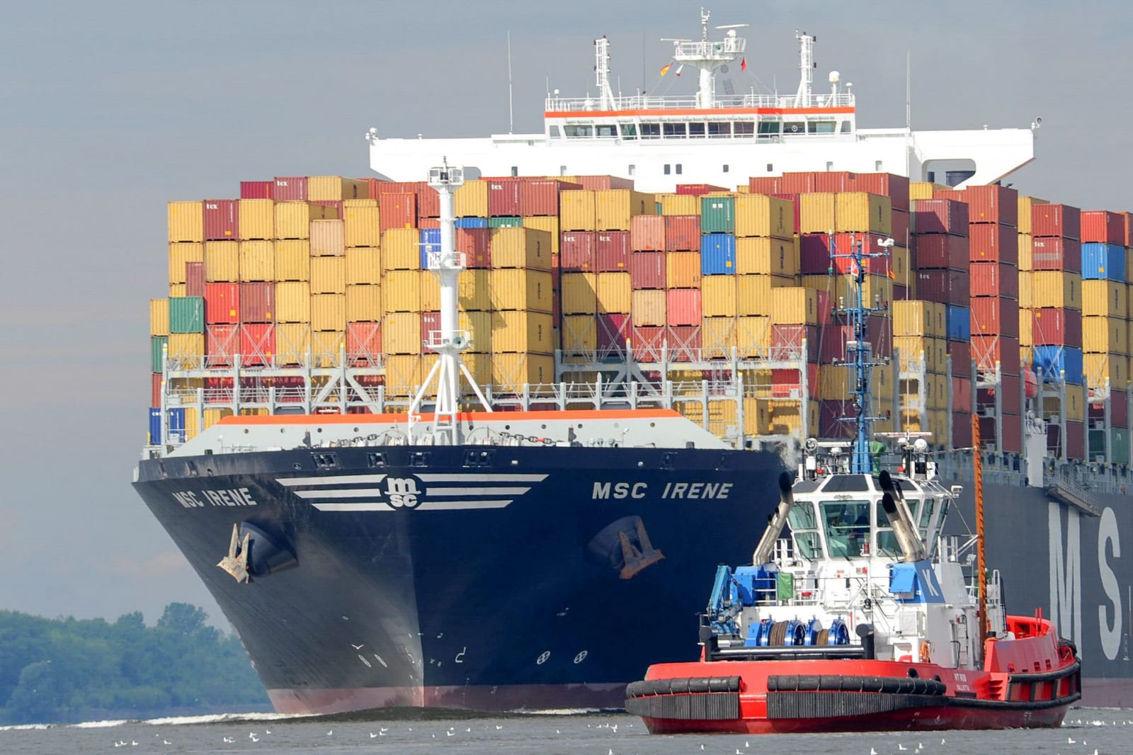 Crecen exportaciones agroalimentarias mexicanas 4.48% en periodo enero-mayo de este año
