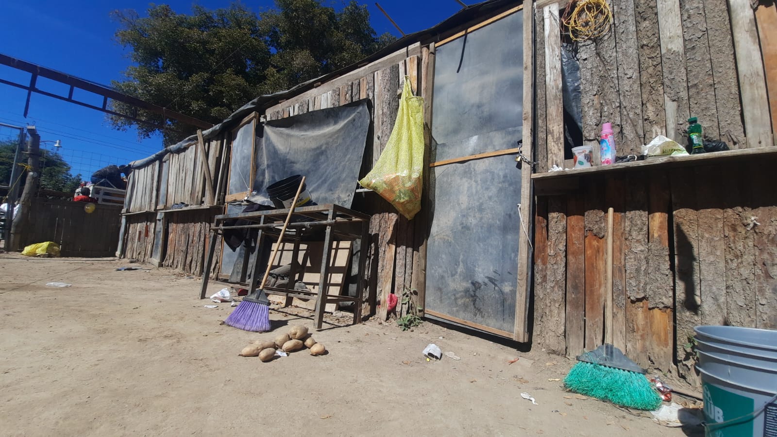Catalina, la joven tarahumara a quien Ismael, su pareja, le arrancó parte de un dedo ya fue dada de alta