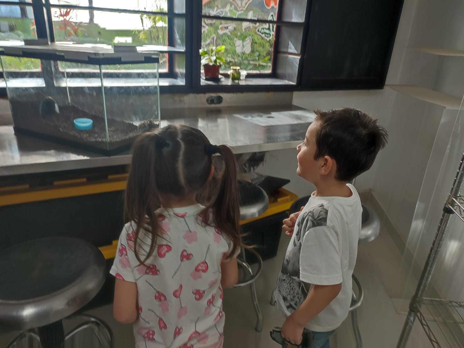 ¿Tiene niños en casa y aún no están en cursos de verano? DIF Guasave inicia este lunes con actividad