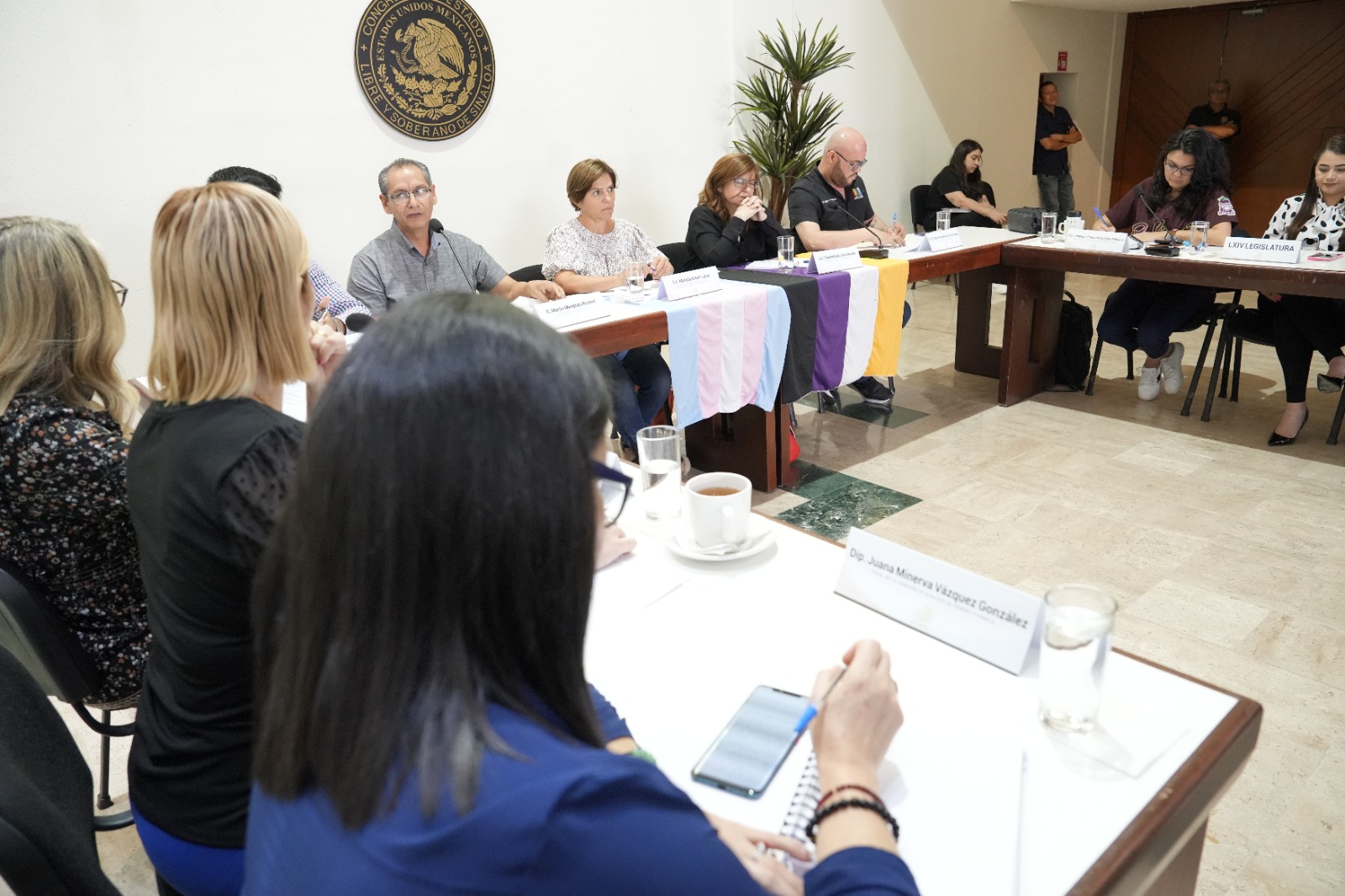 Denuncia Sinaloa Incluyente ser excluidos en conversatorio de Terapias de Conversión realizado en el Congreso