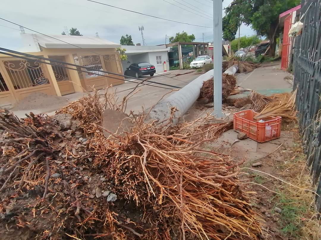 Entre 20 y 25 milímetros de agua dejó la tormenta en Guasave; hay sectores  y comunidades que siguen sin luz