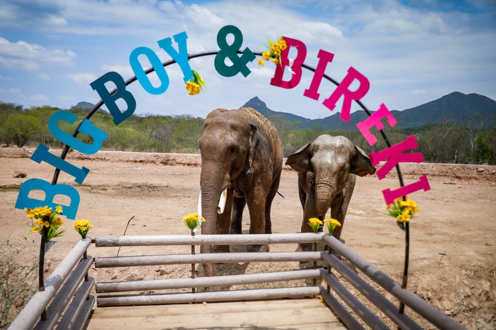 ¡Hubo boda! Se casan Big Boy y Bireki en el Santuario Ostok