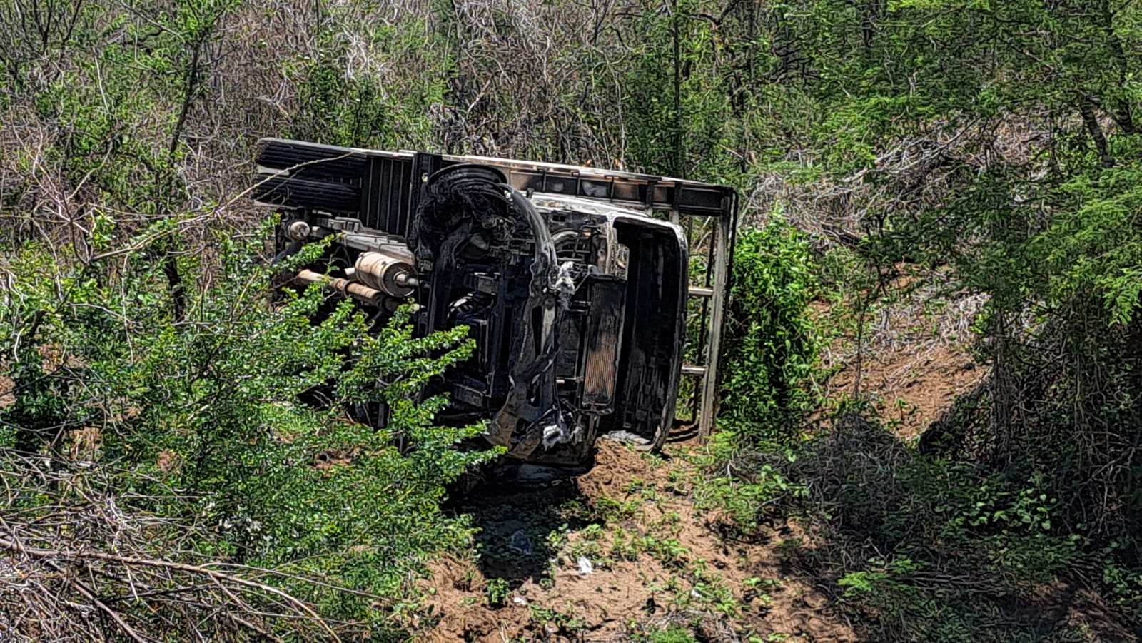 Huellas de la violencia: Pueblos desolados se observan en la sierra del municipio de Sinaloa