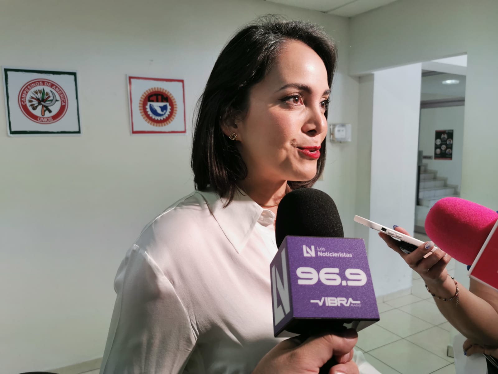 El Tribunal Electoral del Poder Judicial de la Federación regresa diputación federal a Irma Moreno