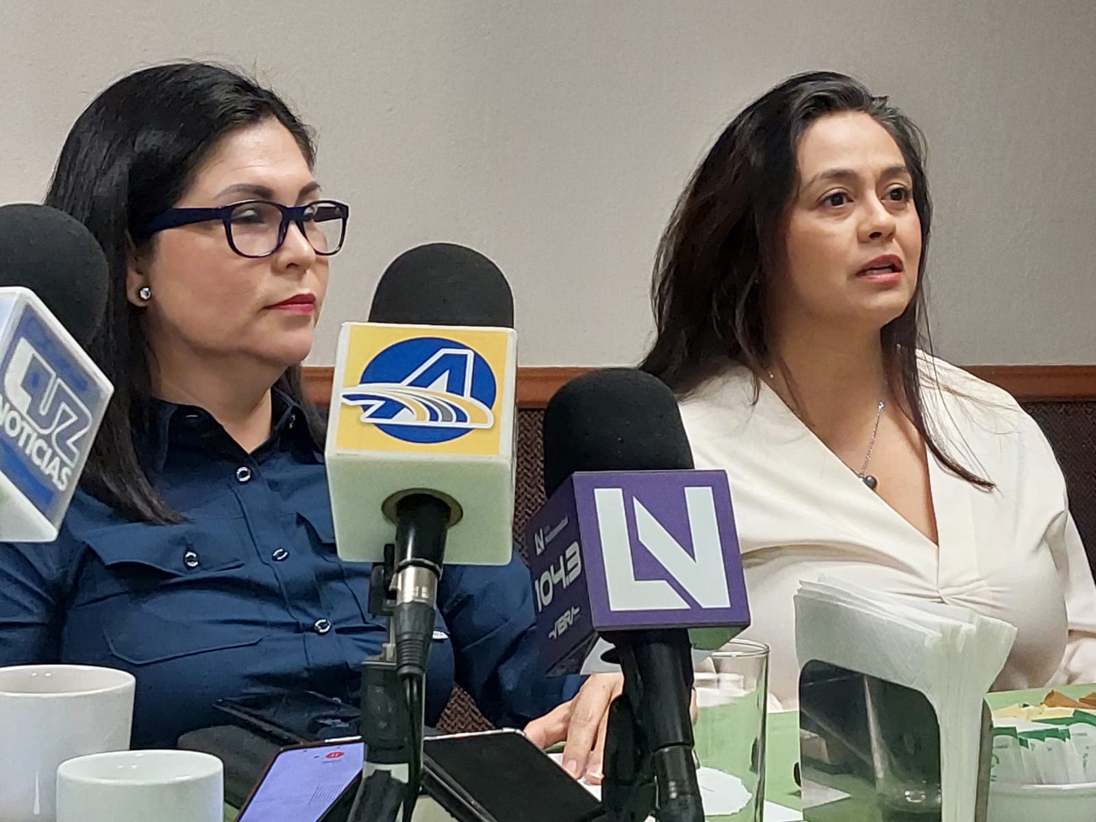 Estamos deseosas y listas, pero no alborotadas para reelegirnos, aseguran diputadas morenistas