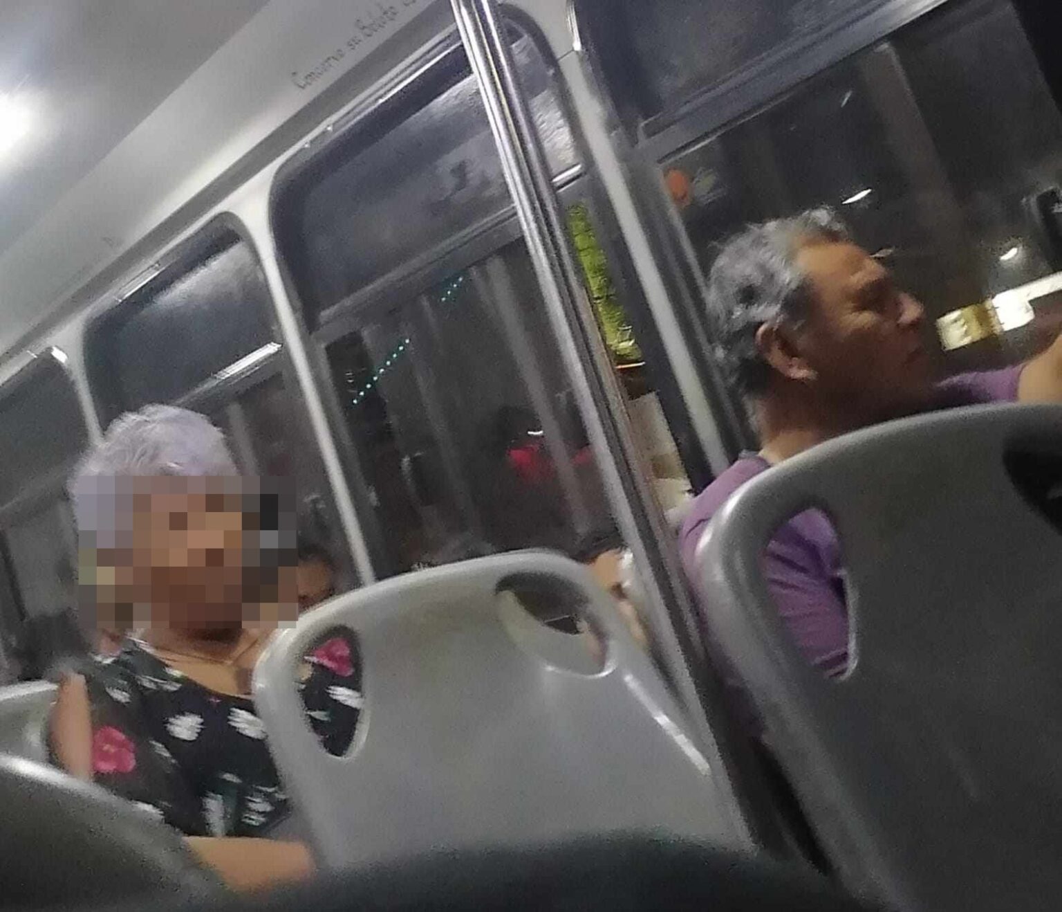 Llaman a denunciar maltrato animal en Sinaloa, tras señora que lanzó perrito de un camión en Mazatlán