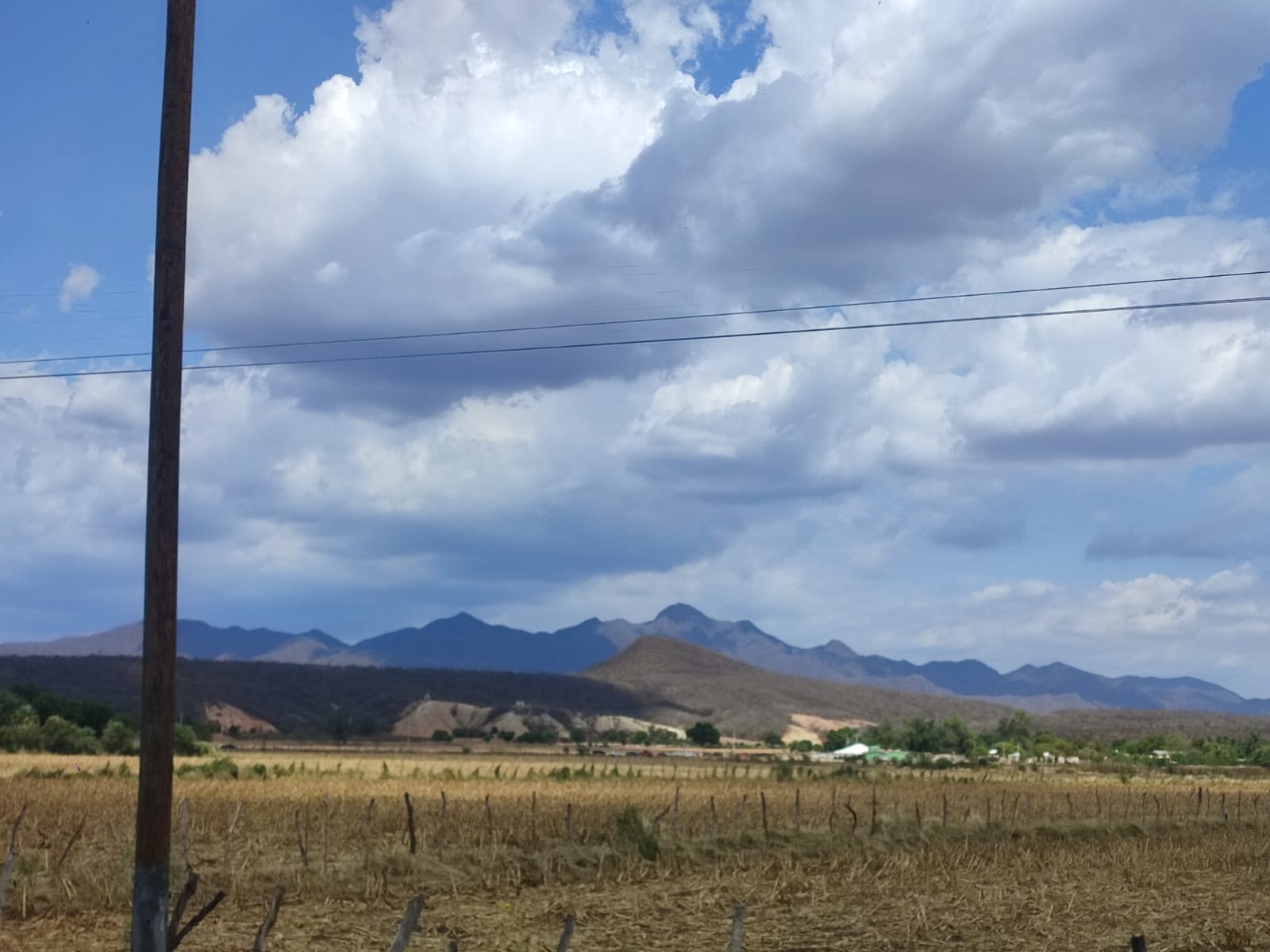 Campo en crisis | Productores temporaleros de Ahome sin dinero ni créditos para trabajar