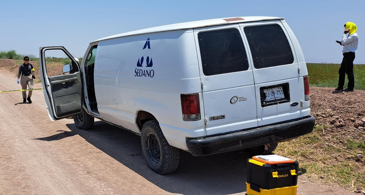 Entre unas siembras de sorgo localizan a un hombre sin vida, en Guasave