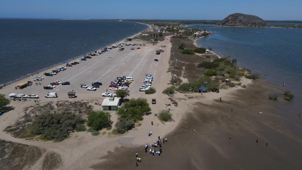 No hay alerta por mortandad de peces en ‘El Maviri’, atienden Gobierno de Ahome y Coepriss el tema